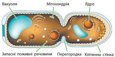 09013ht1-4285-382x191.jpg