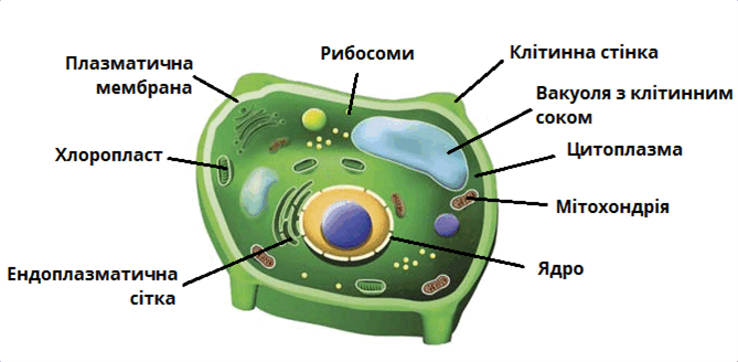 09013huq-6bc3-669x328.png