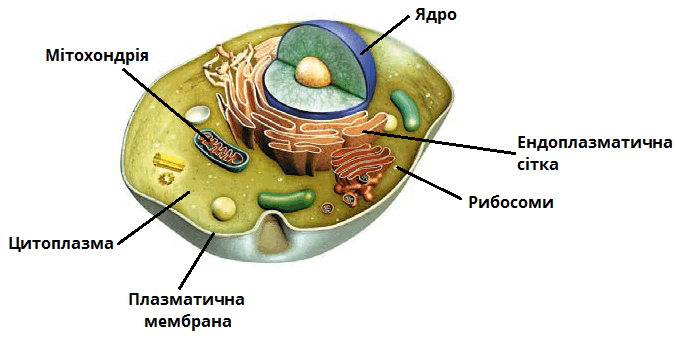 09013hut-6360-679x340.png