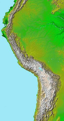 09013i0z-785a-256x481.jpg