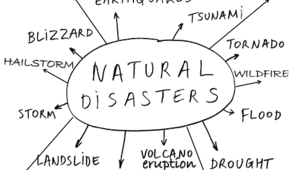 10 Form. Natural Hazards and Disasters.