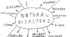 10 Form. Natural Hazards and Disasters.