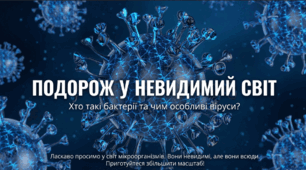 Хто такі бактерії та чим особливі віруси Бактерії, поширення та особливості життєдіяльності. Віруси.