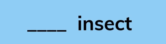 09013n3e-b583-564x151.png