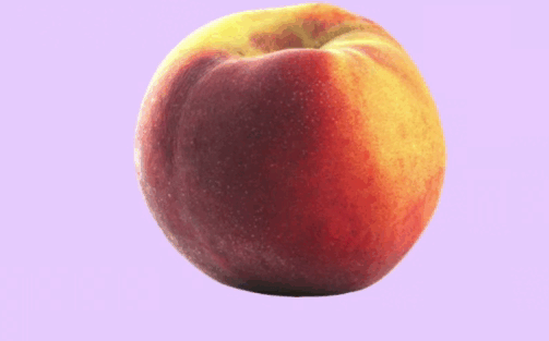 09013n5p-1823-503x313.png