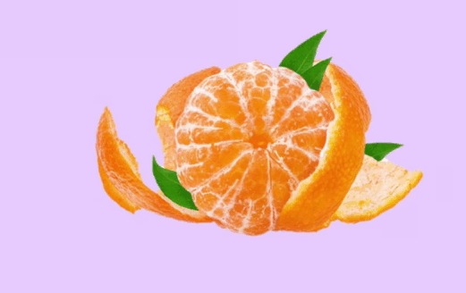 09013n5s-11d2-521x328.png