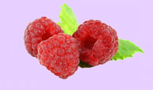 09013n5x-c808-489x286.png