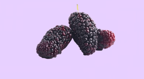 09013n6k-6bb4-493x270.png