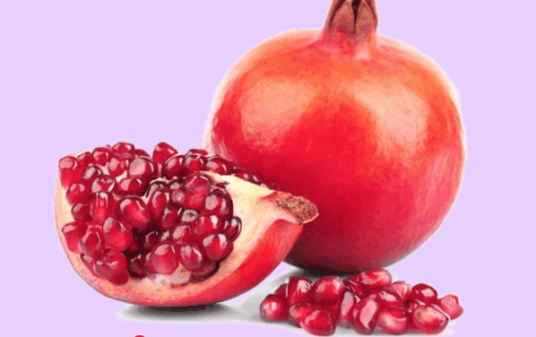 09013na8-77a8-598x376.png