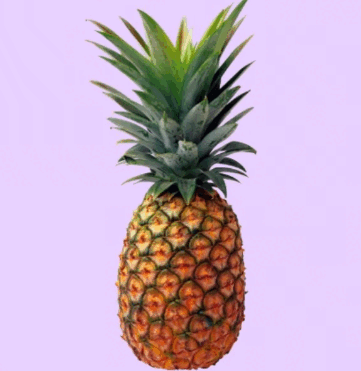 09013nb2-811a-361x371.png