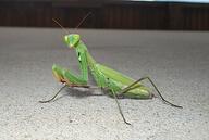 09013ocw-69e5-192x129.jpg