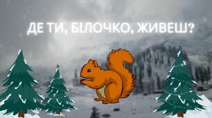 Спостерігаємо за білочкою "Де ти, білочко, живеш?".