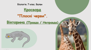 Кросворд "Плоскі черви". 🧠 Вікторина (Правда / Неправда)