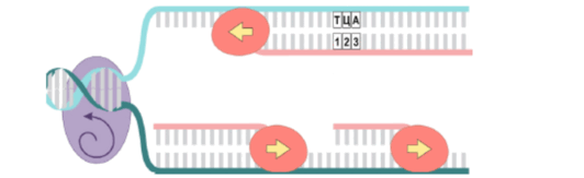 09013rh3-f1ba-532x163.png