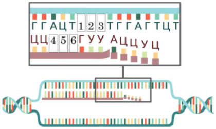09013rnu-e4e9-420x251.png