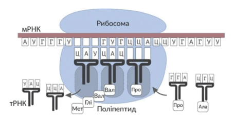 09013sp1-ef5c-455x232.png