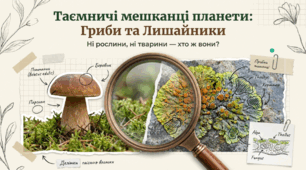Чим відрізняються гриби та лишайники від інших організмів
