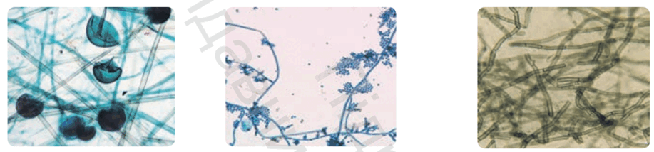 09013vg6-214f-917x214.png