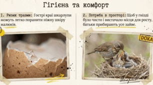 Таємниці пташиного гнізда. Чому батьки прибирають шкарлупу? (Бібік, Бондарчук друк.зошит с. 77)