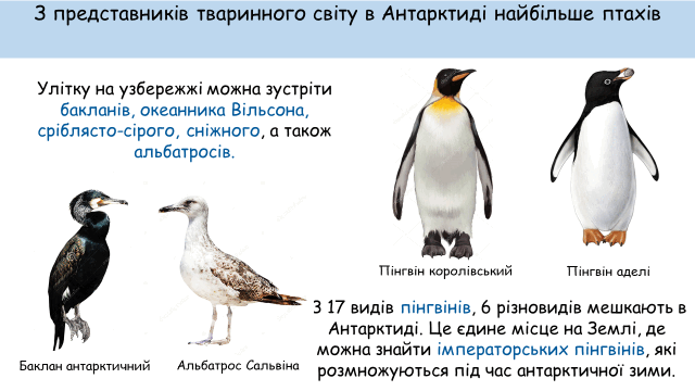 09013w2e-6e7d-640x360.png