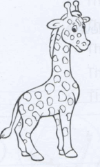 09013w62-23c2-145x242.png