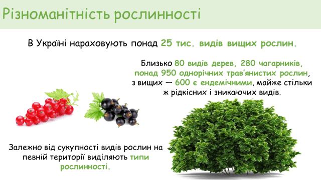 09013w63-5628-640x360.png