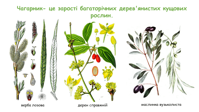 09013w67-b691-640x360.png