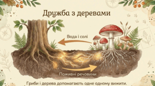 Урок "Гриби"