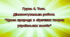 Група 4. Тест. Краса природи в ліричних творах українських поетів