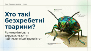 Хто такі безхребетні тварини.