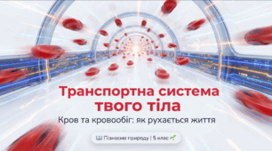 Як рухається кисень та поживні речовини в нашому організмі
