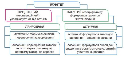 090141vj-7eed-536x247.jpg