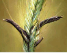 09014686-a1b8-98x77.png