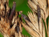 09014687-40eb-97x73.png
