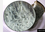 09014692-9f09-152x108.png