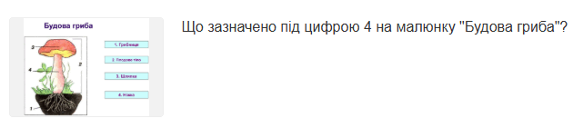 090146ot-522f-641x141.png