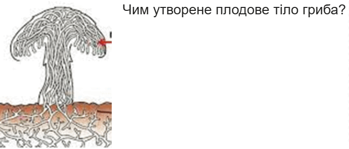 090146se-f317-706x302.png