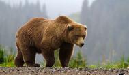 090147jr-cbcc-189x110.jpg