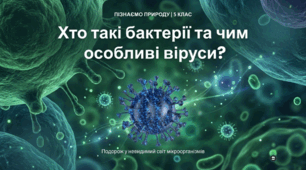 Хто такі бактерії та чим особливі віруси