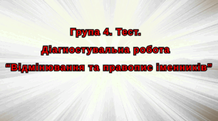 Група 4. Тест Відмінювання та правопис іменників.