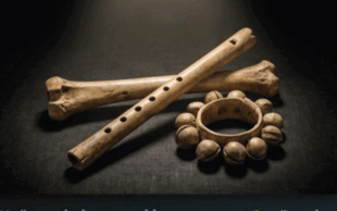 090149nc-3f3a-310x194.png