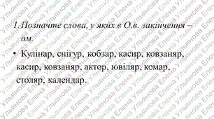 Тренувальні вправи "Орфограми в іменниках" 10-11 класи