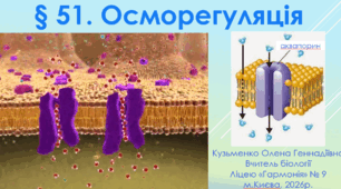 § 51. Осморегуляція