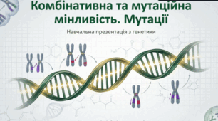 Презентація "Комбінативна та мутаційна мінливість.Мутації
