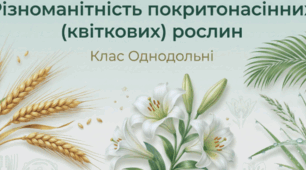 Презентація до уроку "Різноманітність покритонасінних (квіткових) рослин. Однодольні