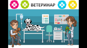 Навчально-ігровий комплект "Світ професій: Ветеринар" (дидактичний матеріал)