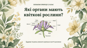 Які органи у квіткової рослини