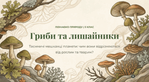 Чим відрізняються гриби та лишайники від інших організмів
