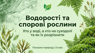 Водорості та спорові рослини: хто у воді, а хто на суходолі та як їх розрізнити