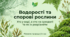 Водорості та спорові рослини: хто у воді, а хто на суходолі та як їх розрізнити